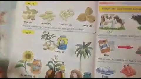 Class 2 EVS - L - 3 Our Food