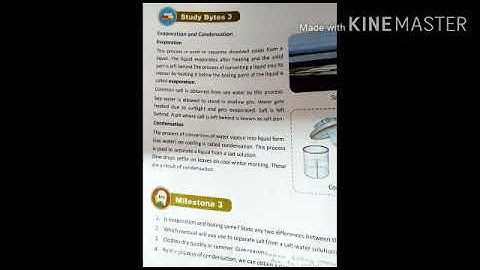 MLZS JHANSI CLASS 6 Science Chapter 5 Lecture 3