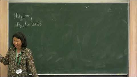 Prof. Eriko Hironaka | Polynomial invariants of graph maps and applications to Out(Fn) and Mod(Sgn)