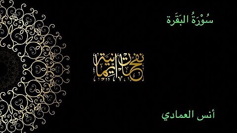 سورة البقرة     |  القارئ :  أنس العمادي 💛