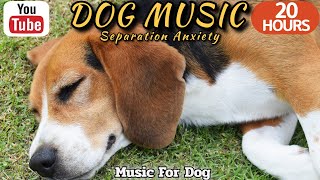 20 HOURS of Dog Calming MusicSeparation Anxiety Relief Music Anti Dog Relaxation⭐Healingmate