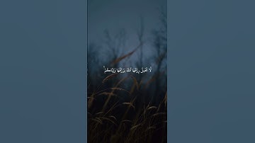 سورة العنكبوت ٥٩-٦٠ | القارئ عبد الرحمن مسعد #قرآن
