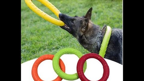 Dog Toys Pet Flying Disk Training Ring Puller Anti Bite Floating Interactive Supplies Dog Toys