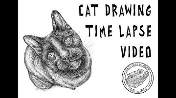 Cat drawing portrait time-lapse, (pointillism)