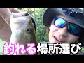 バス釣り　釣れない時は釣れる場所に行けば解決！