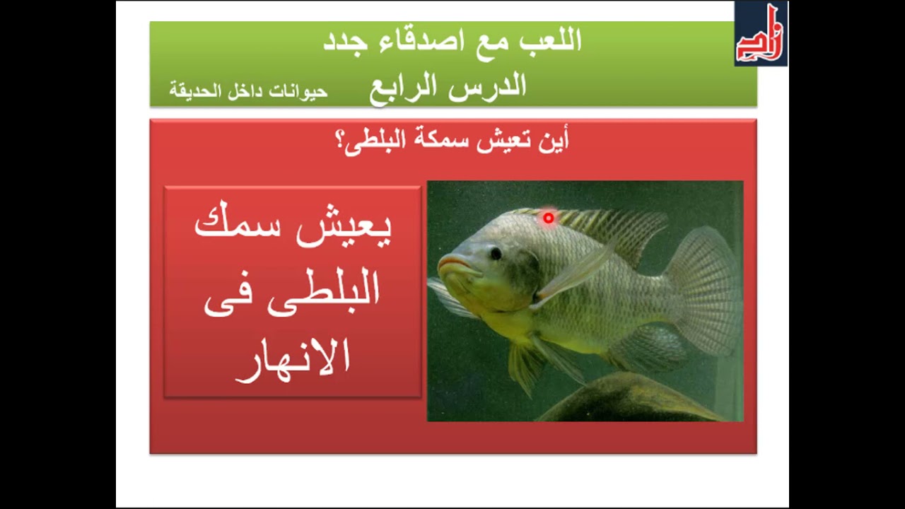 النظام الجديد / منهج اكتشف / كى جى 2 / الترم التانى / الفصل الثانى / الدرس الرابع