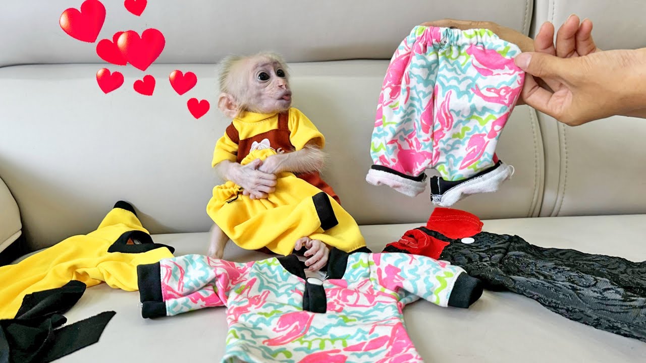P.11 Adorable moments! Lucky is happy when his mother buys him new clothes