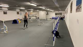 Lisa and My - RC training - soft turns, 220309 screenshot 5