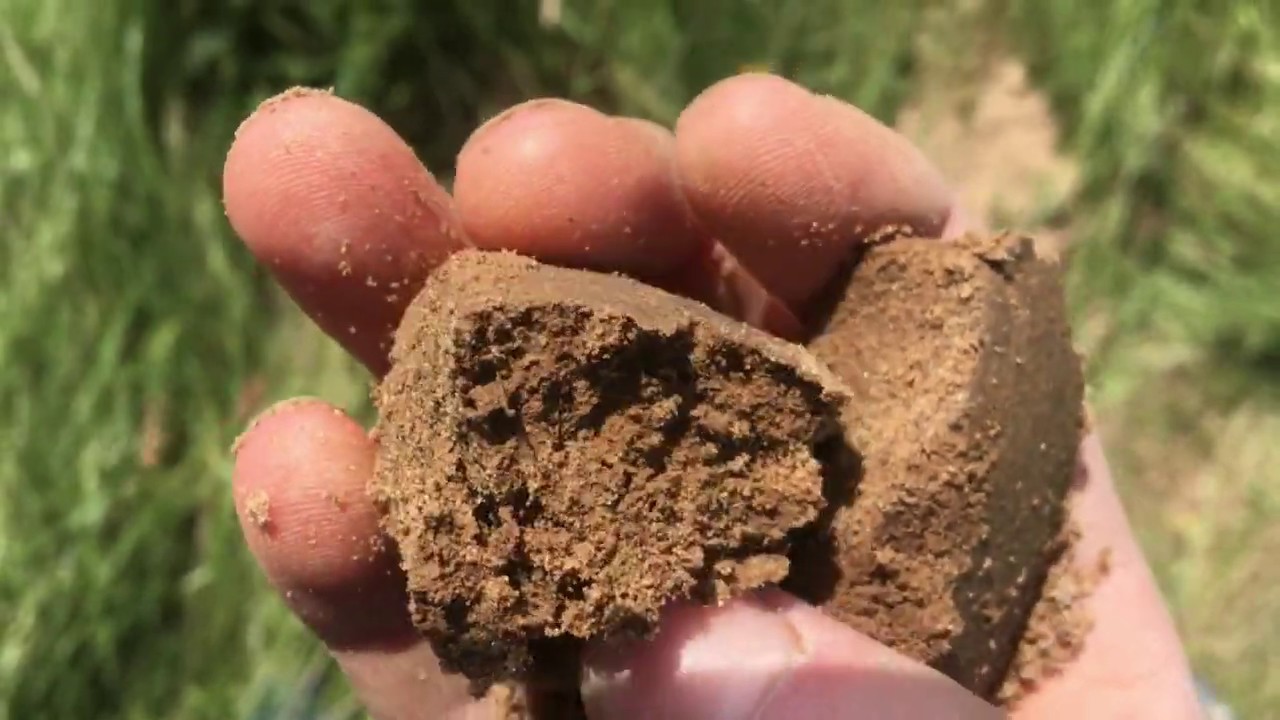 Terrain PEDOLOGIE IV : Hydromorphie, morphologies des horizons rédoxiques