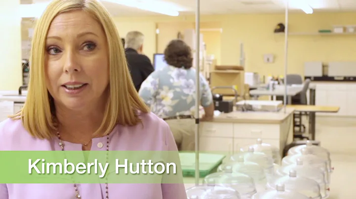 Data Balance Review  Kimberly Hutton 04
