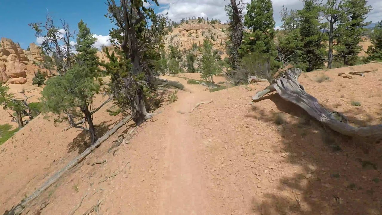 Thunder Mountain Trail