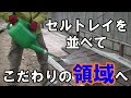 【苗床】電熱マットの海でセルトレイを泳がせろ