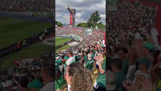 E A Gambazada Viver A Chorar