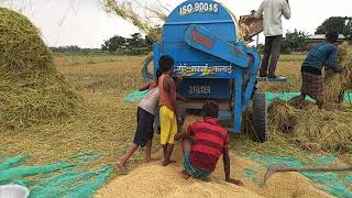 scientific-method-of-rice-cultivation-assam-paddy-fields-beautiful-natural-view