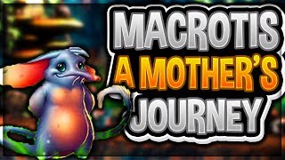 Walkthrough (PC)