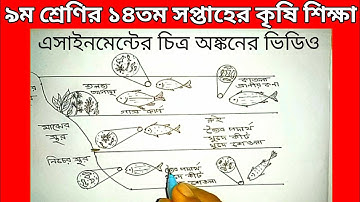 Class 9 14th Week Agriculture Assignment | ৯ম শ্রেণির ১৪তম সপ্তাহের কৃষি শিক্ষা এসাইনমেন্ট ২০২১