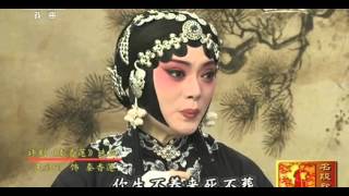 20151113 名段欣赏 王冠丽主演