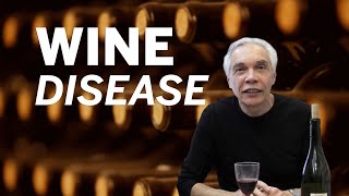 Dr. Joe Schwarcz on the discovery of 'wine disease'