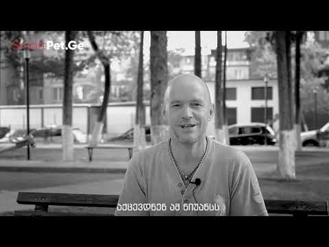 სმარტ პეტის 1 წუთი - ჯიშიანი ძაღლის ხასიათი