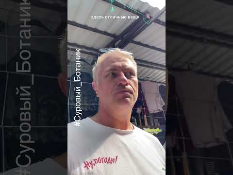 Блошиный рынок в Сочи или шопинг для отставших от поезда )