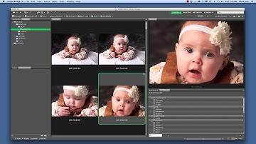 Adobe Bridge CC Interface