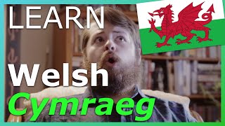 Tips for Learning Welsh for Beginners 🏴󠁧󠁢󠁷󠁬󠁳󠁿 screenshot 5