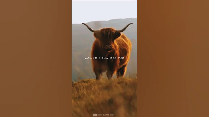 Aurora - Runaway Whatsapp Status | English Song Whatsapp Status | Fullscreen