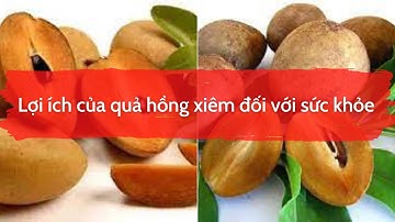 Lợi ích của quả hồng xiêm đối với sức khỏe - Thực phẩm và sức khỏe
