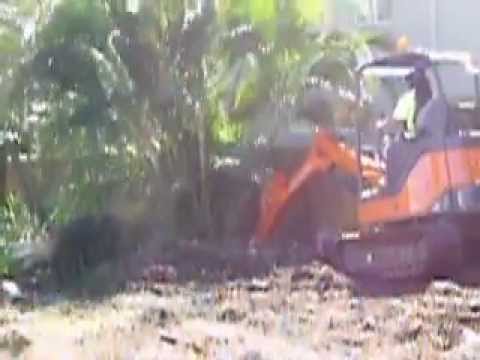 All Sites Stump Grinding Brisbane & Ipswich 0433 028 124