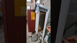 Age detection of trees & live bees inside Universeum #universeum #bee #tree #thingstodoingothenburg Age detection of trees & live bees inside Universeum #universeum #bee #tree #thingstodoingothenburg