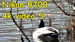Nikon Coolpix B700 4k video test 1
