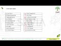 S6 RV Regular Savia (ABC) 2027 I 