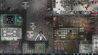 We Came to End Insects Mess #rimworld #gaming