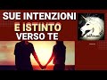 Sue Intenzioni e Istinto verso te. Tarocchi interattivi amore