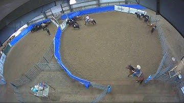 Big Sky Ranch Sorting Saddle Series #4 - #9 HC SORT - Round #1 - Ride #18
