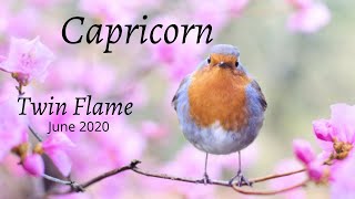 CAPRICORN TWIN FLAME June 2020 💖Show ur soft side- be gentle screenshot 4
