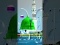 Mai to pagal hun hara gumbad ka | very emotional islamic status | naat #islamic #short