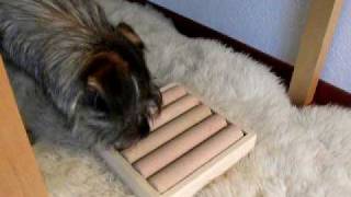 Zaunpfahl-Spiel - Dog Tricks screenshot 1