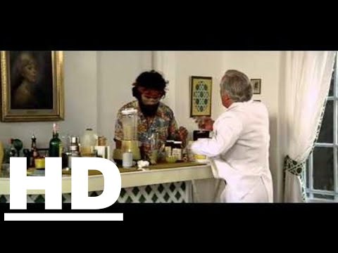 Cheech & Chong — Cheech & Chong's Up In Smoke [Get a Job Scene] 1080p HD