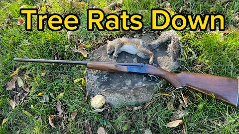 Squirrel Hunting with RARE .410 Shotgun!!!