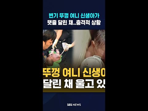 변기 뚜껑 여니 '탯줄 달린 신생아'…태국 현지 발칵 #shorts