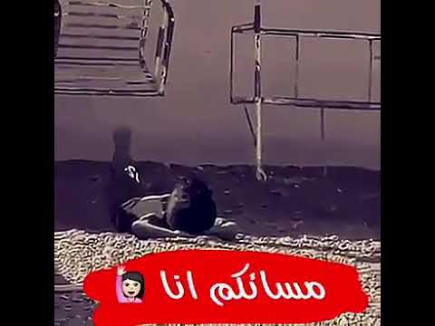 الزعل مرفوض