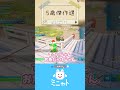 【5歳傑作選】 ボクとお母さんのほのぼのフォートナイト【Fortnite】