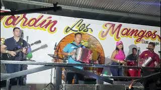 Mundo De Ilusiones (En Vivo) La Salsa Montañera #alfredoescudero #lizbethgonzalez