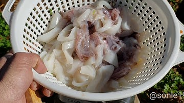 Stir Fried Squid With Tomato Mực Xào Với Cà