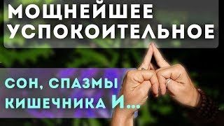 СДЕЛАЙ ТАК 3 раза! Шакти мудра ✅ МОЩНАЯ помощь внутренним органам и даже...