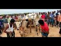 రెండు టన్నుల బరువుతో ఇసుకలో బండి లాగుడు పందెము చూడండి || won first place 🥇