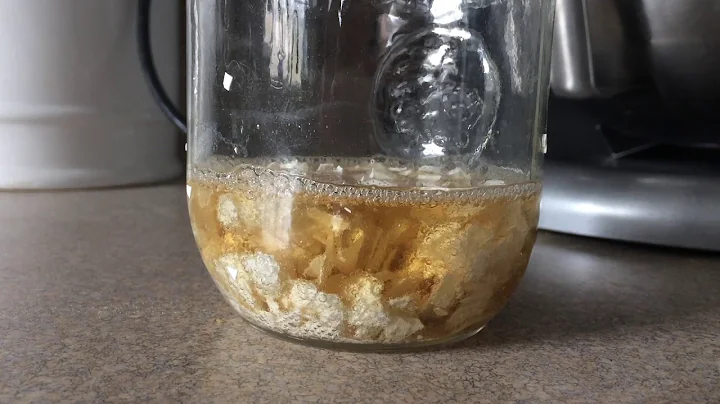 DIY Calcium-Magnesium for Your Plants!