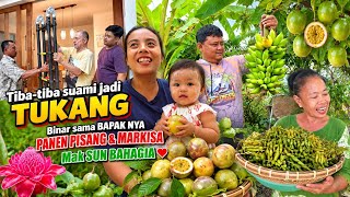 Download lagu DADAKAN SUAMI JADI TUKANG‼️MAAF 🙏YG SUDAH ANTRI MARKISA,RESIN SUKA BANGET || TOUR KEBUN DEPAN RUMAH 