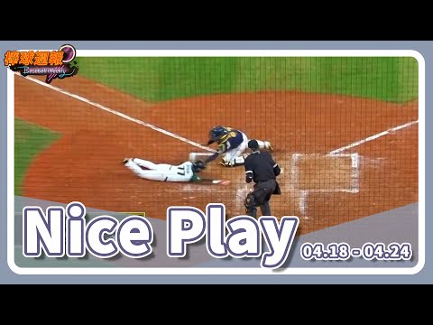 #NicePlay - 球再怎麼打都接得到！本週中職神人美技都在棒球週報。｜【#棒球週報】 - 20240428